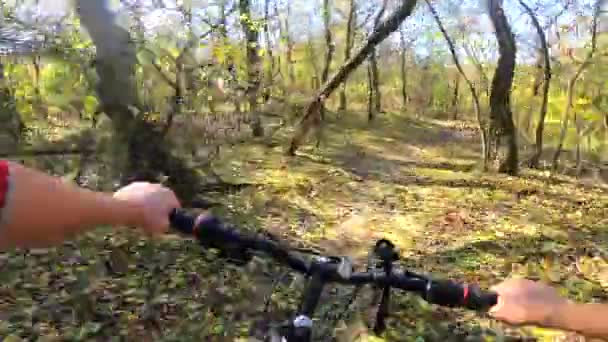 Kız, sonbaharda güneş ışığıyla ormanda bisiklet sürüyor.. — Stok video
