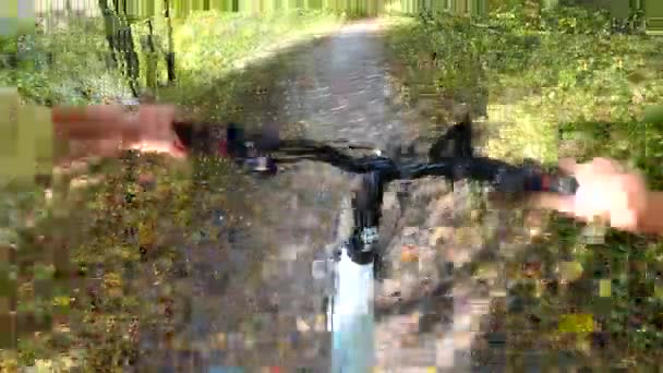 여자 아이는 자전거를 타고 숲 속을 다닙니다. 숲 속에서 자전거를 타고 있는 남자 — 비디오