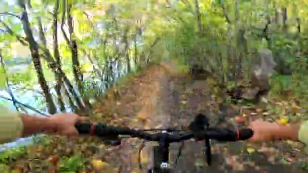 A rapariga anda de bicicleta pela floresta. Um homem de bicicleta anda na floresta — Vídeo de Stock