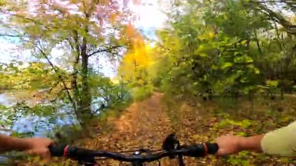 Chica paseos en bicicleta a través del bosque. Un hombre en bicicleta pasea por el bosque — Vídeos de Stock