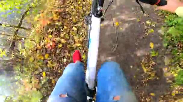 Chica paseos en bicicleta a través del bosque. Un hombre en bicicleta pasea por el bosque — Vídeos de Stock