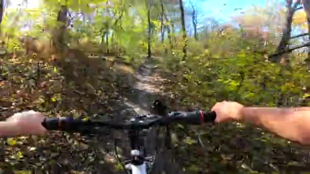 Girl rides bicycle through forest. Girl rides bike along path in forest — Stock Video