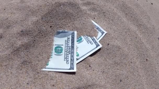 Money dolars half covered with sand lie on beach close-up. — Stock Video