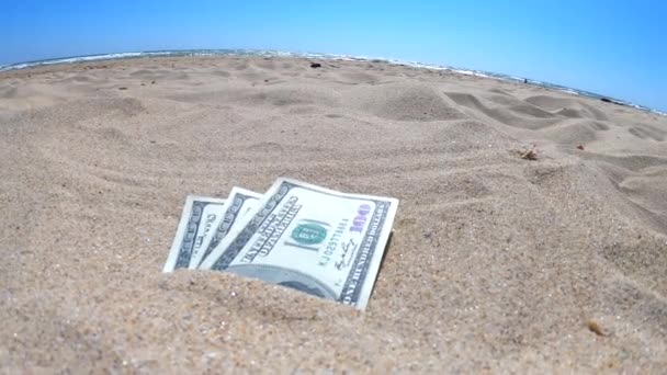 Dinero dolares medio cubierto de arena se encuentran en la playa de cerca. — Vídeos de Stock