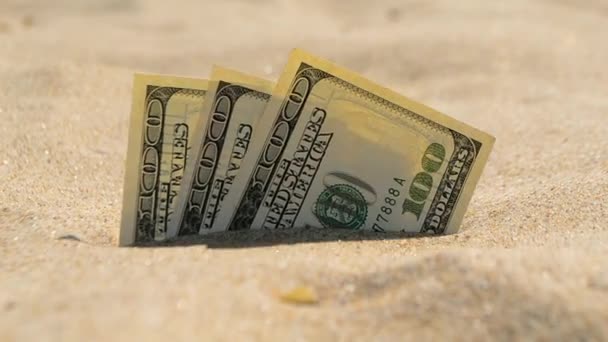 Money dolars half covered with sand lie on beach close-up. — Stock Video