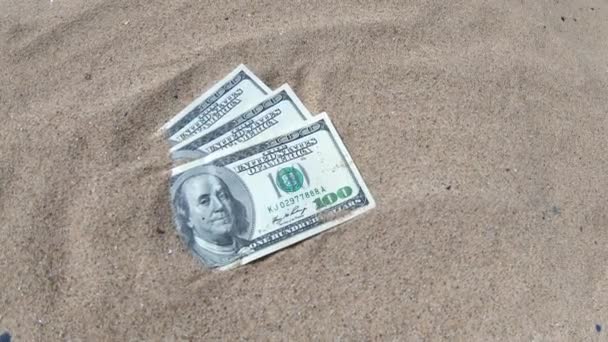 Dinero dolares medio cubierto de arena se encuentran en la playa de cerca. — Vídeos de Stock