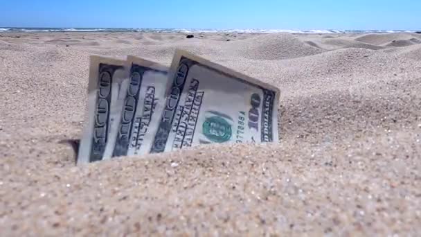 Денежные доллары, наполовину покрытые песком, лежат на пляже крупным планом. — стоковое видео