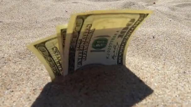 Money dolars half covered with sand lie on beach close-up. — Stock Video