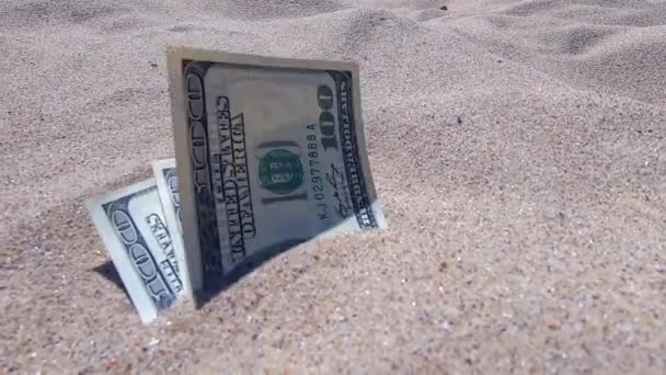 Soldi dolari mezzo coperto di sabbia si trovano sulla spiaggia primo piano. — Video Stock