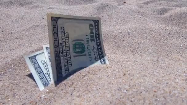 Dinero dolares medio cubierto de arena se encuentran en la playa de cerca. — Vídeos de Stock