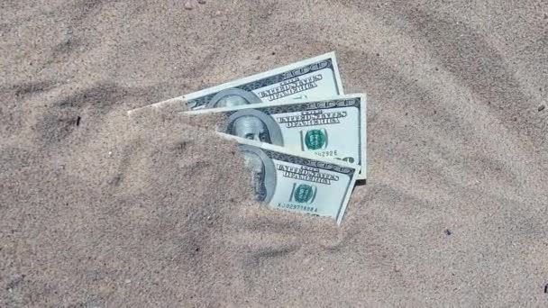 Geld dolars half bedekt met zand liggen op strand close-up. — Stockvideo