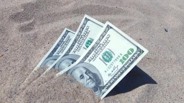 Dolars d'argent à moitié couverts de sable se trouvent sur la plage close-up — Video