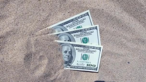 Geld dolars half bedekt met zand liggen op strand close-up — Stockvideo