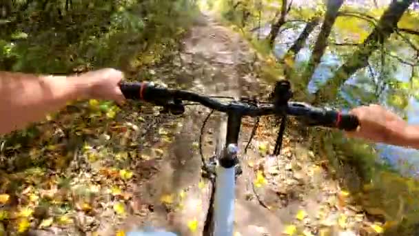 A Caucasian man with a bicycle is riding in the forest path in the summer. — Stock Video