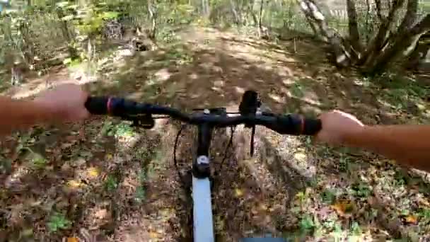 Un hombre caucásico con una bicicleta está montando en el sendero del bosque en el verano. — Vídeos de Stock