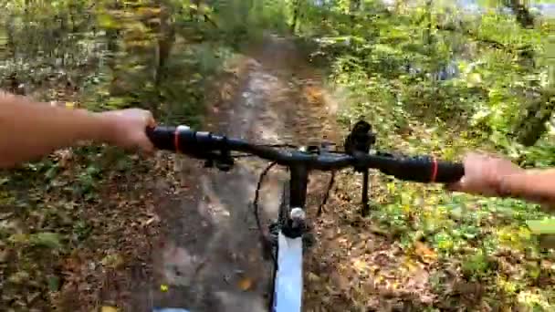 女孩骑自行车穿过森林. 骑自行车的人在森林里骑马 — 图库视频影像