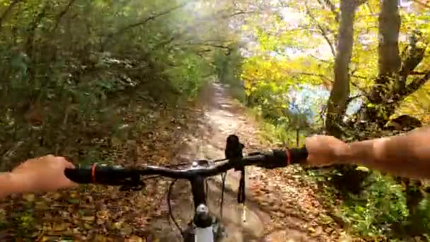 女孩骑自行车穿过森林. 骑自行车的人在森林里骑马 — 图库视频影像