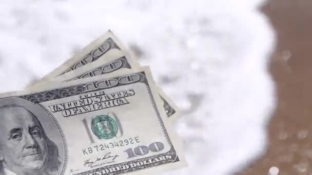 Girl holding a money bill of 300 dollars on background of sea waves — Stock Video