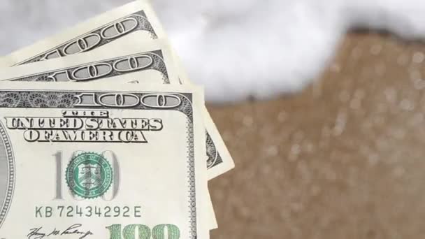 Girl holding a money bill of 300 dollars on background of sea waves — Stock Video