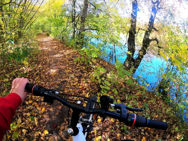 Chica paseos en bicicleta a través del bosque. Chica paseos en bicicleta a lo largo del camino en el bosque — Foto de Stock