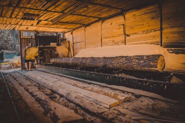 Bıçkıhane. bıçkıhane makinesindeki makine kayıtları ağaç gövdesini testereyle keser