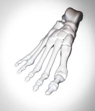 İnsan ayağı iskeletinin beyaz prototipi koyu yüzeydeki 3D yazıcıya basılmış..