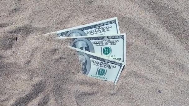 Dolars d'argent à moitié couverts de sable se trouvent sur la plage close-up. — Video