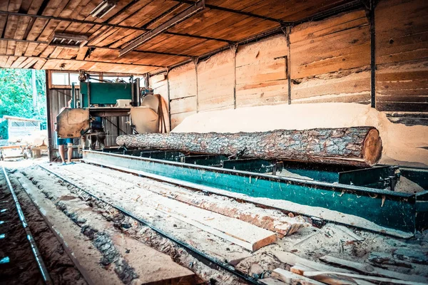 Sågverk. Bearbetning av stockar i sågverksmaskiner sågar trädstammen — Stockfoto