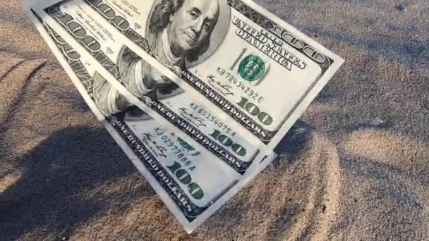 Girl holding money bill of 300 dollars on background of over sand — Stock Video