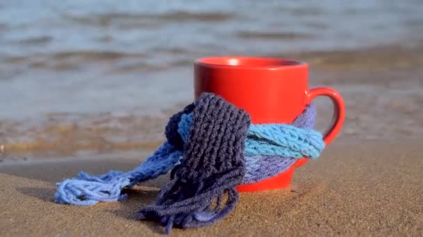 Röd mugg med kaffe bundet med blå stickad halsduk står på sandstrand — Stockvideo