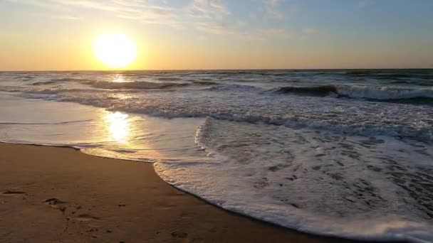Vody moře, pěnové vlny, mokrá písečná pláž a stezka úsvitu — Stock video