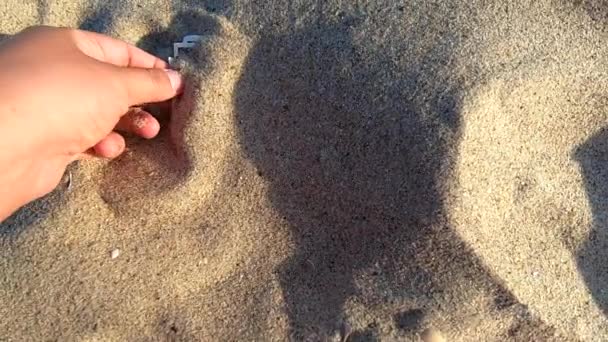 Девушка вынимает из песка деньги банкноты в триста — стоковое видео