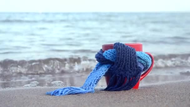 Röd mugg med kaffe bundet med blå stickad halsduk står på sandstrand — Stockvideo