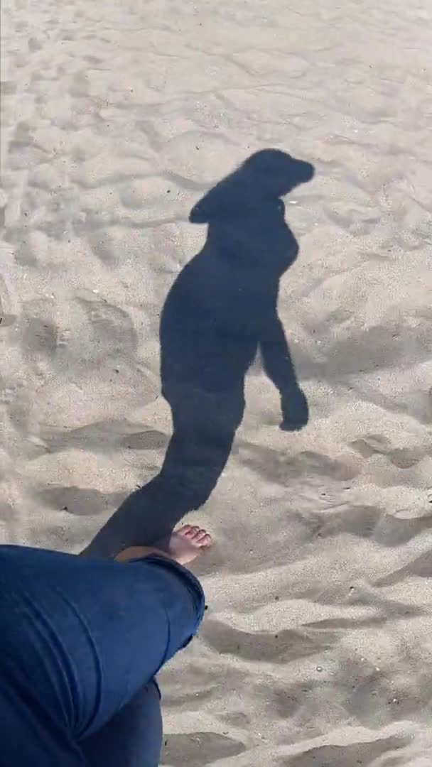 Sahilde kumsalda yürüyen bir kızın siyah gölgesi. — Stok video