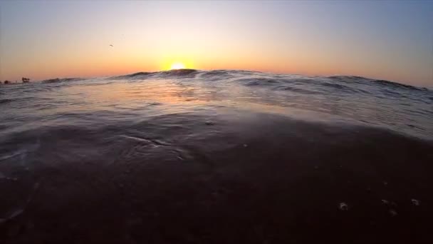 Solnedgång gryning vid havet. Vatten och vågor hav landskap — Stockvideo