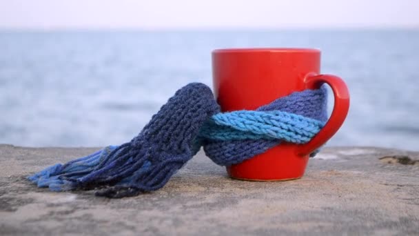 Roter Kaffeebecher mit blauem Strickschal steht am Sandstrand — Stockvideo