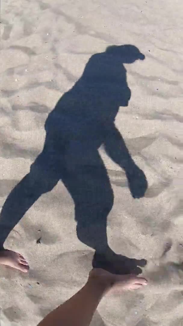Черная тень девушки, идущей вдоль песчаного пляжа на берегу — стоковое видео