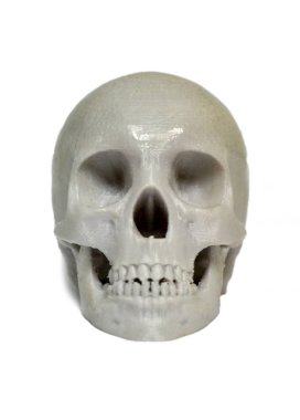 3 boyutlu bir yazıcıda gri renkli plastikle basılmış kafatası.