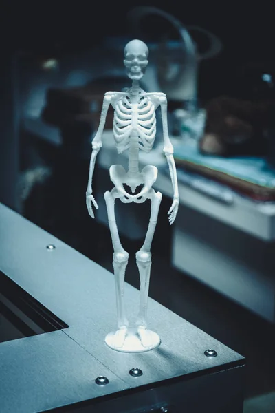 3Dプリンタで印刷されたオブジェクト人間の骨格. — ストック写真