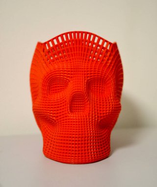 3d bir yazıcıda yazdırılan kafatası