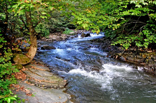 Río en las montañas Cárpatos fluye a través de rápidos rocas en la orilla —  Fotos de Stock