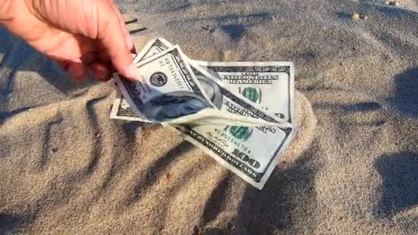 Дівчина тримає грошову купюру в 300 доларів на фоні піщаного пляжу — стокове відео