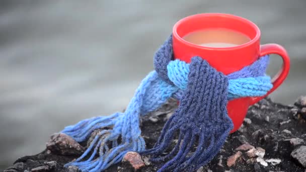 Красная кружка с кофе, связанная синим вязаным шарфом, стоит на песчаном пляже — стоковое видео