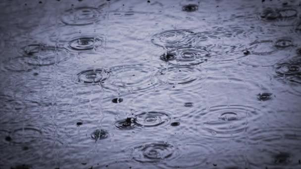 Heavy rain shower downpour cloudburst rainfall behind the glass. — Stock video