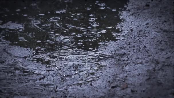 Heavy rain shower downpour cloudburst rainfall behind the glass. — Stock Video