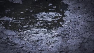 Heavy rain shower downpour cloudburst rainfall behind the glass.