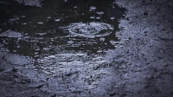 Проливной дождь из дождевых осадков за стеклом . — стоковое видео