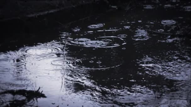 Heavy rain shower downpour cloudburst rainfall behind the glass. — Stok video