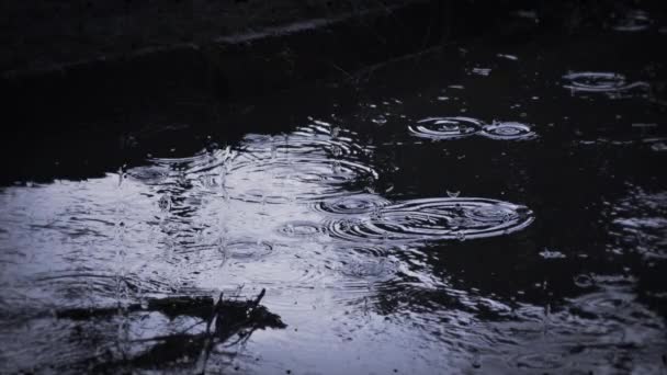 Heavy rain shower downpour cloudburst rainfall behind the glass. — ストック動画