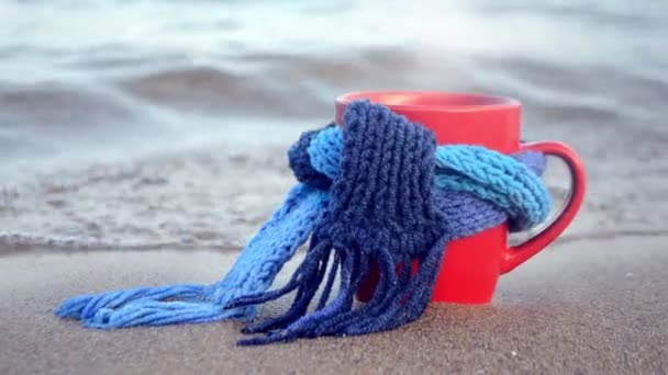 Röd mugg med kaffeband och ånga med blå stickad halsduk står — Stockvideo